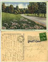 Greetings Post Card(Susquehanna, PA)